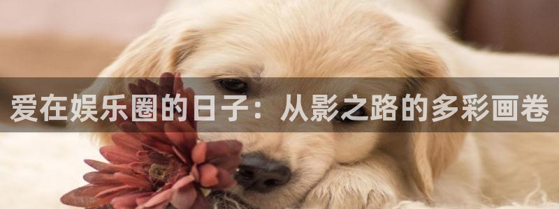 长征平台pg：爱在娱乐圈的日子：从影之路的多彩画卷