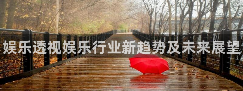 长征平台ccm麻将胡了：娱乐透视娱乐行业新趋势及未来展望