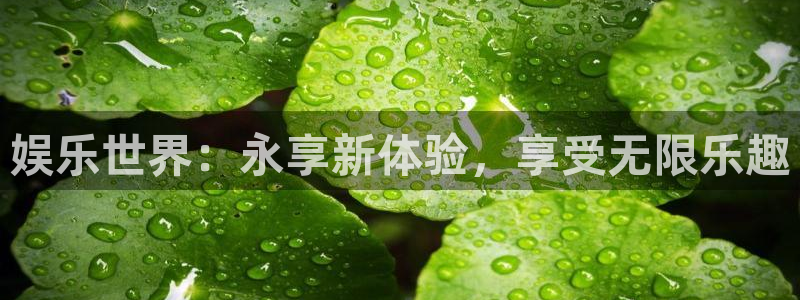 长征平台4平台注册：娱乐世界：永享新体验，享受无限乐趣