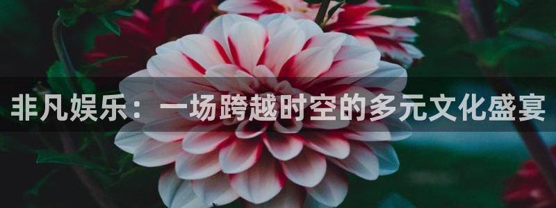 长征平台3平台登录注册：非凡娱乐：一场跨越时空的多元文化盛宴
