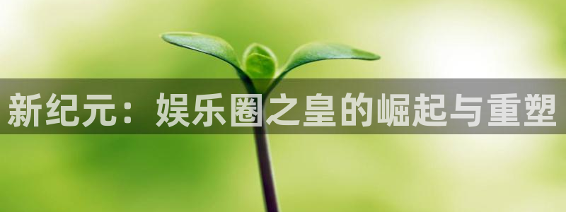 长征平台加拿大：新纪元：娱乐圈之皇的崛起与重塑