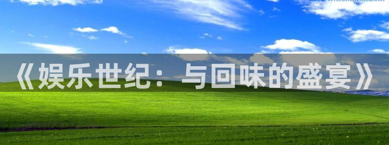 长征平台注册网站app：《娱乐世纪：与回味的盛宴》