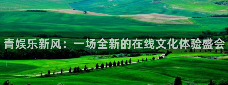 长征平台3：青娱乐新风：一场全新的在线文化体验盛会